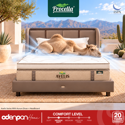 PROCELLA - AVELIS Kasur 3 Zone Pocket Spring Bed With Double Camel Wool & Latex Grand Plush Top