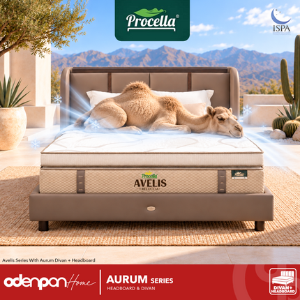 PROCELLA - AURUM Set Divan & Headboard Kasur Kulit Premium