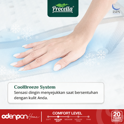 PROCELLA - AVELIS Kasur 3 Zone Pocket Spring Bed With Double Camel Wool & Latex Grand Plush Top