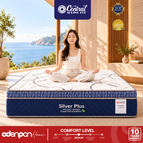 Mattress Only / 90 x 200 cm