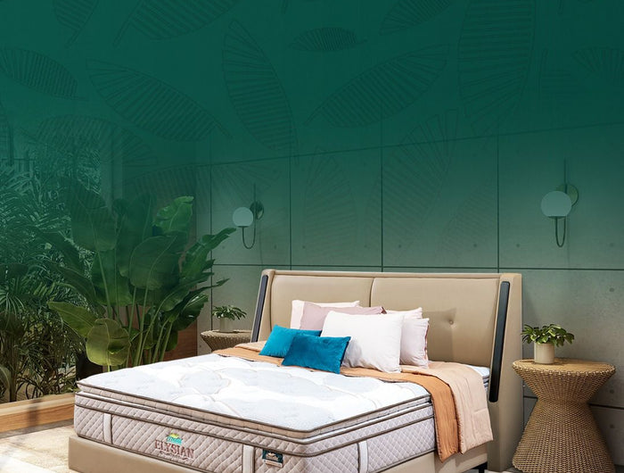 <h2>Wonderful Sleep, Wonderful Life</h2>