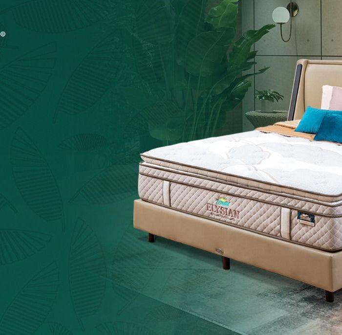 <h2>Wonderful Sleep, Wonderful Life</h2>