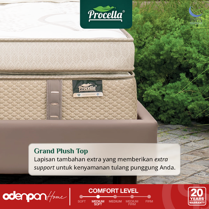 PROCELLA - AVELIS Kasur 3 Zone Pocket Spring Bed With Double Camel Wool & Latex Grand Plush Top