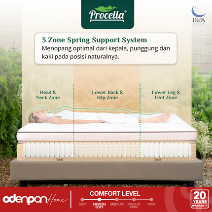 PROCELLA - AVELIS Kasur 3 Zone Pocket Spring Bed With Double Camel Wool & Latex Grand Plush Top